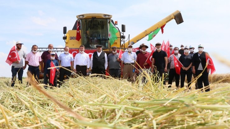 Aksaray’da arpa hasadı başladı