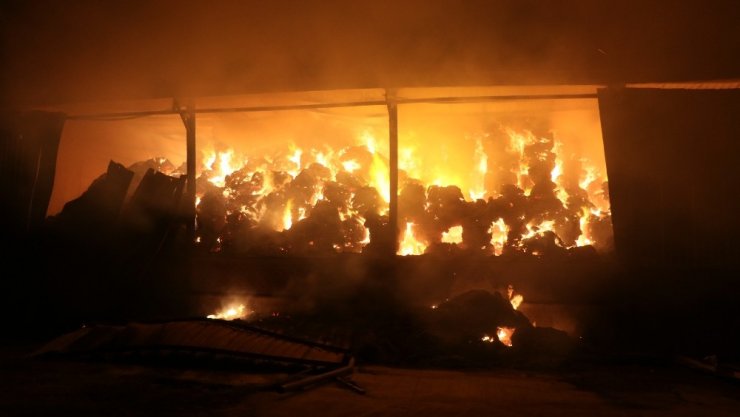 Aksaray’da yem fabrikası ve yonca deposu alev alev yanıyor