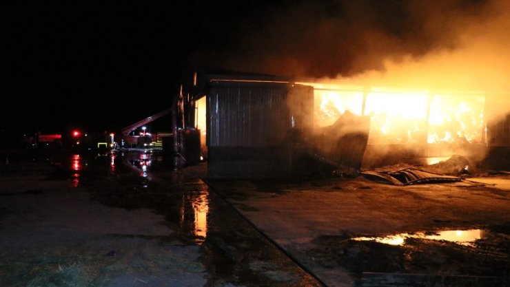 Aksaray’da yem fabrikası ve yonca deposu alev alev yanıyor