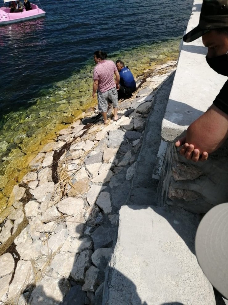 Göle atlayan kadını suya giren polisler kurtardı