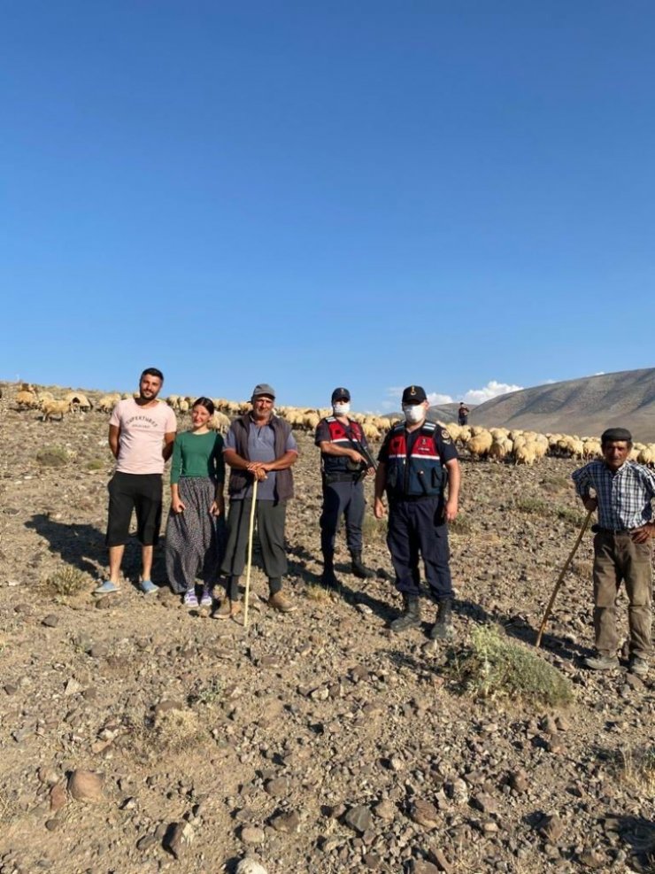 Kaybolan 300 koyunluk sürüyü jandarma droneyle buldu