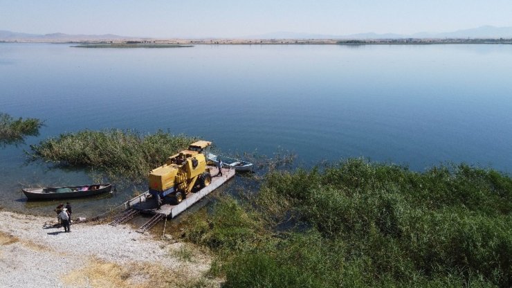 Beyşehir Gölü’nde yüzdürülerek adaya götürülen biçerdöverle hasat