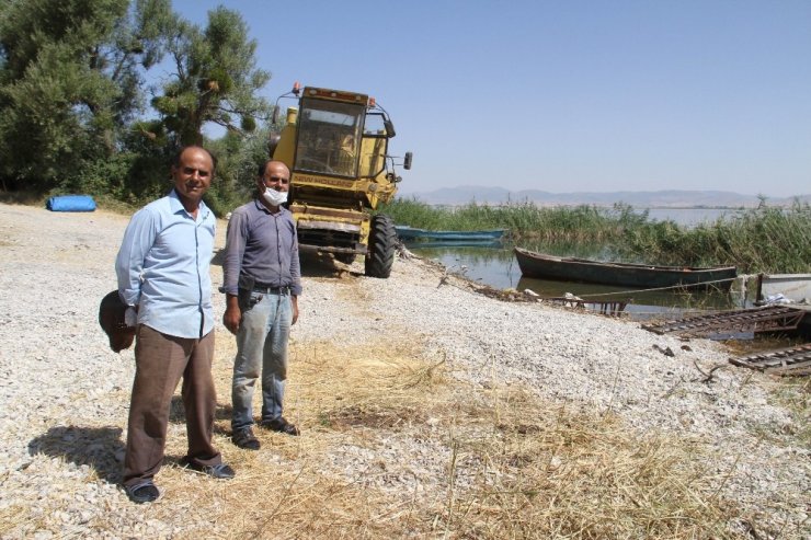 Beyşehir Gölü’nde yüzdürülerek adaya götürülen biçerdöverle hasat