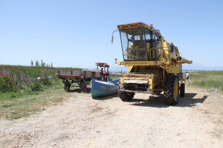 Beyşehir Gölü’nde yüzdürülerek adaya götürülen biçerdöverle hasat