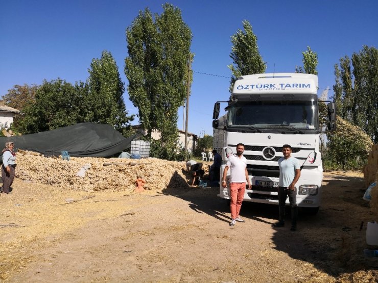 Korona virüse direnç gösteren sarımsağın ihracatı durduruldu