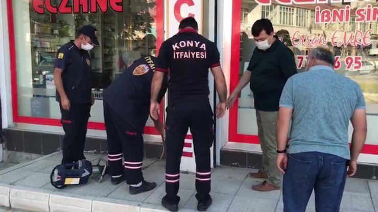 Tabela arkasındaki boşluğa düşen yavru kedi kurtarıldı