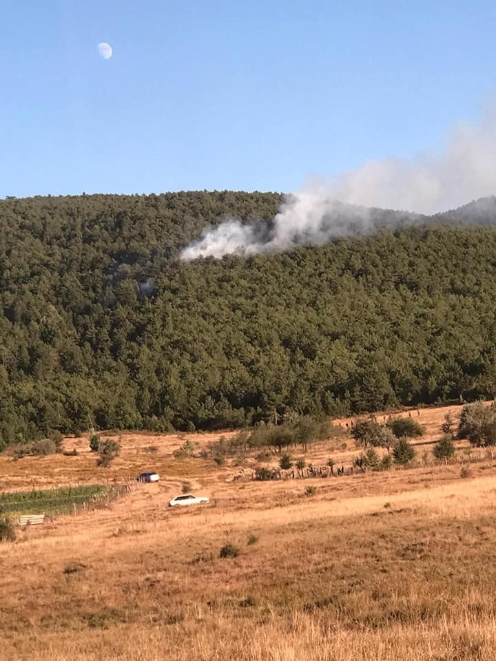 Ormanlık alanda çıkan yangın büyümeden söndürüldü