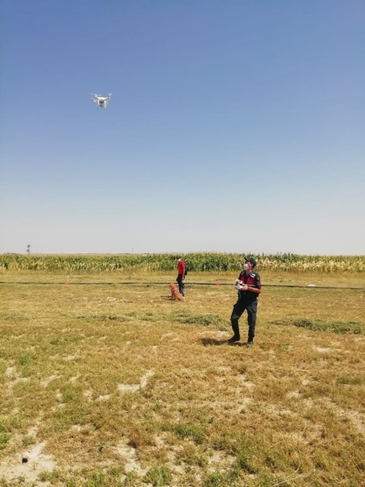 Kaybolan 3 yaşındaki çocuğu iz takip köpeği ve drone buldu