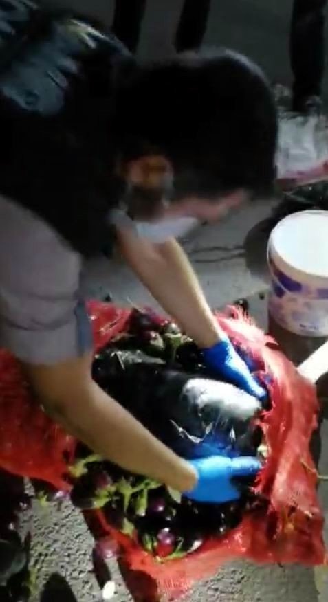 Patlıcan ve zeytin dolu çuvallarından uyuşturucu ele geçirildi