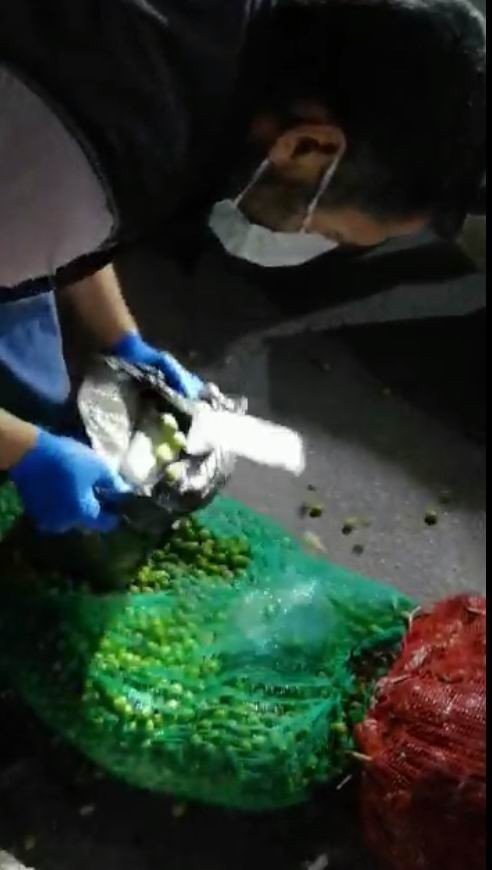 Patlıcan ve zeytin dolu çuvallarından uyuşturucu ele geçirildi