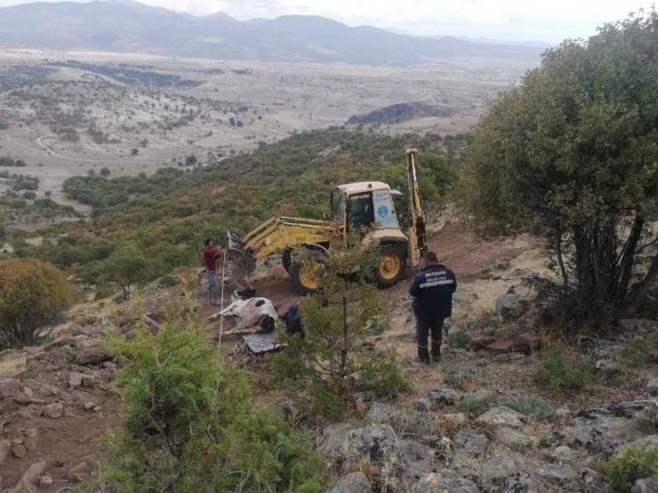 Uçuruma düşen inek kurtarıldı