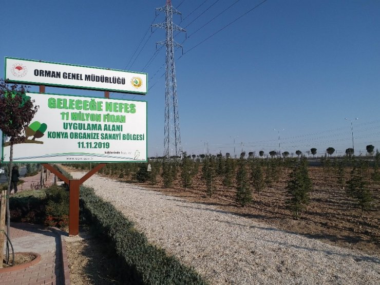 Konya’da dikilen geleceğe nefes olacak fidanlar büyüyor