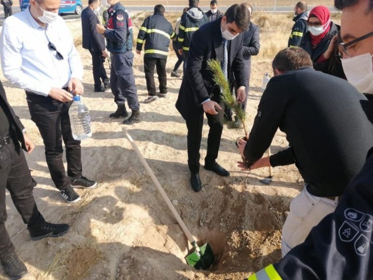 Sultanhanı ilçesinde fidanlar toprakla buluştu