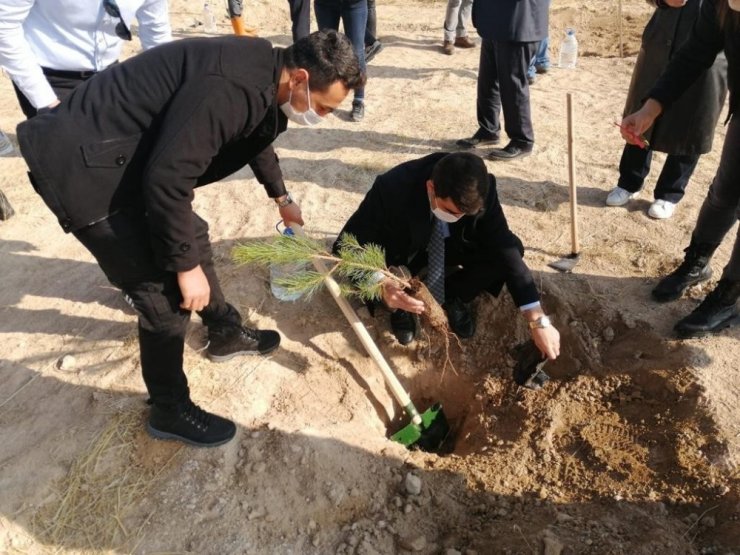 Sultanhanı ilçesinde fidanlar toprakla buluştu