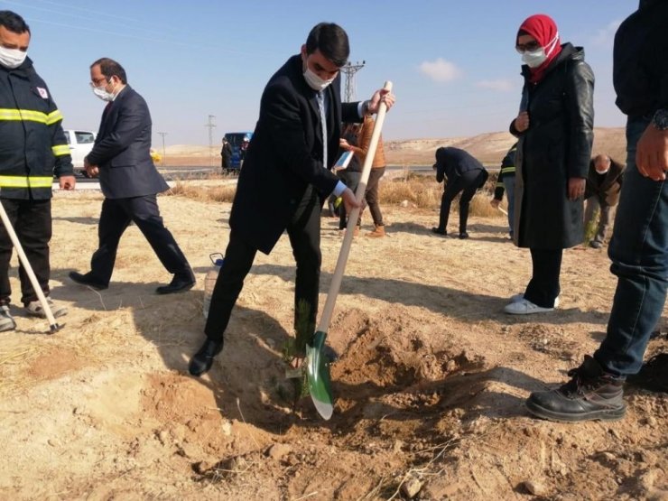 Sultanhanı ilçesinde fidanlar toprakla buluştu