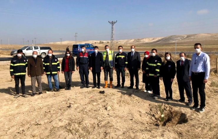 Sultanhanı ilçesinde fidanlar toprakla buluştu