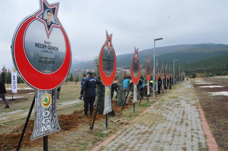 (Güncelleme) Akşehir’de 54 şehit için 54 fidan toprakla buluşturuldu