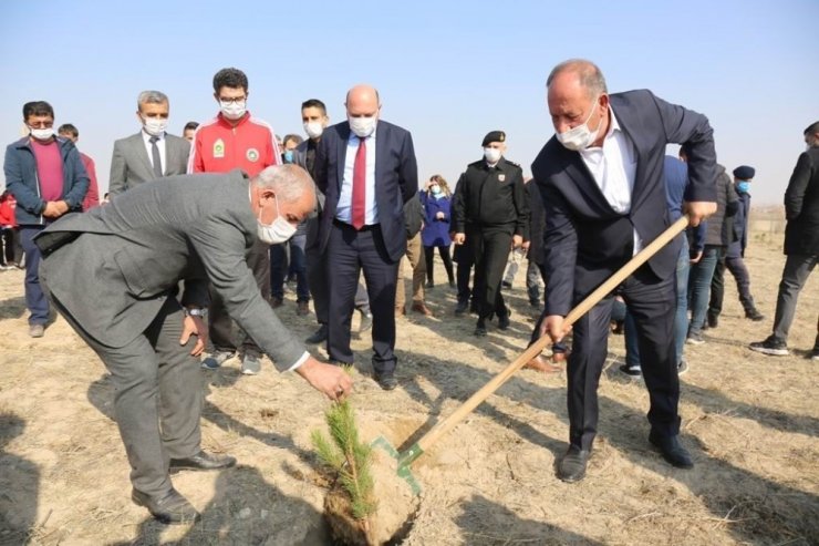 Ereğli Belediyesi binlerce fidanı toprakla buluşturdu