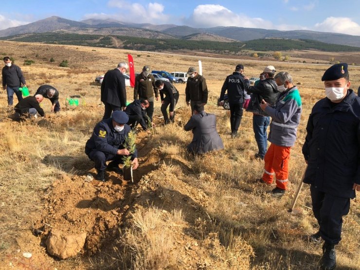 Hüyük’te “geleceğe nefes” olmak için fidanlar toprakla buluşturuldu