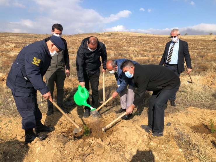Hüyük’te “geleceğe nefes” olmak için fidanlar toprakla buluşturuldu
