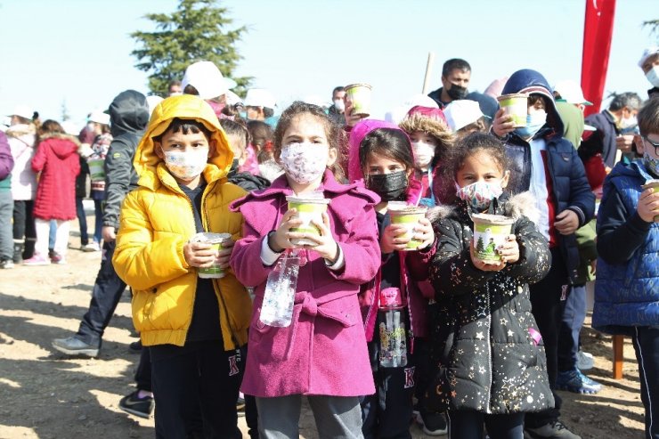 Konya’da 310 bin karaçam fidanı dikildi