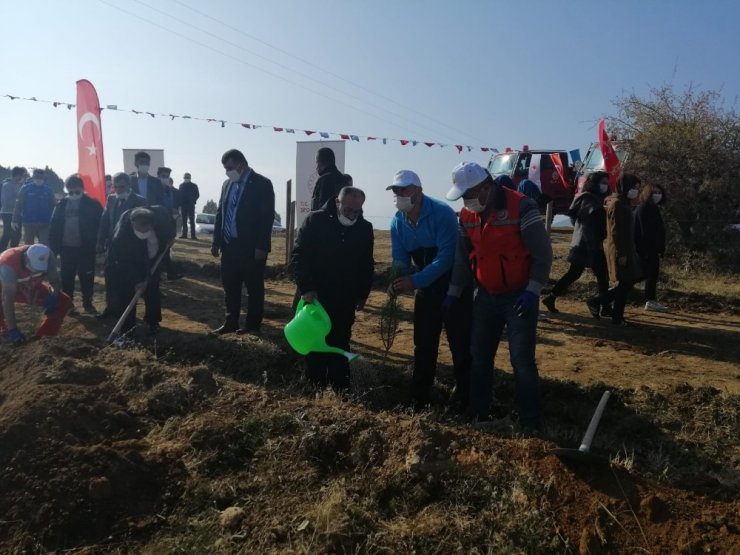 Beyşehir’de ağaçlandırma seferberliği