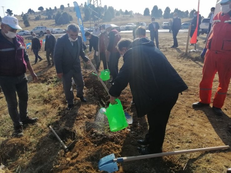 Beyşehir’de ağaçlandırma seferberliği
