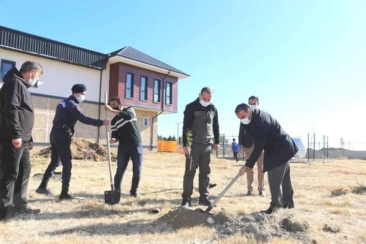 Kulu’da fidan dikimi gerçekleştirildi