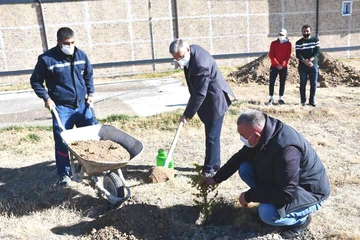 Kulu’da fidan dikimi gerçekleştirildi