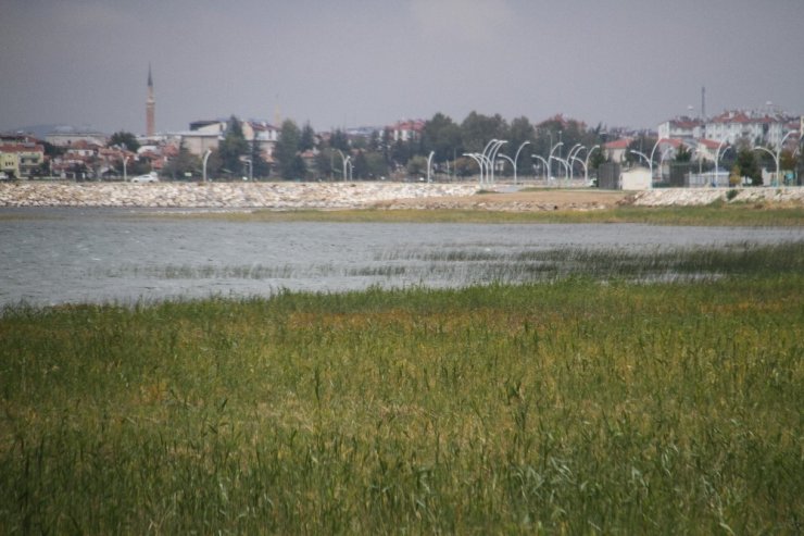 Beyşehir Gölü kıyılarında sular çekildi