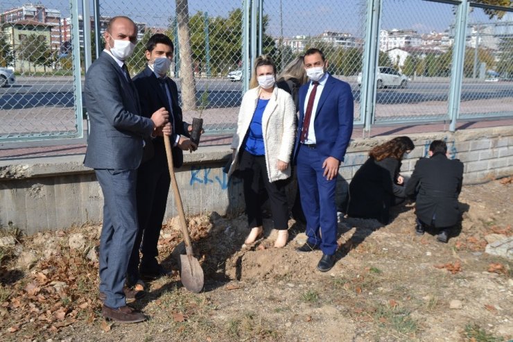 MEDAŞ, “Bir fidan, bir nefes” projesiyle geleceğe nefes oldu