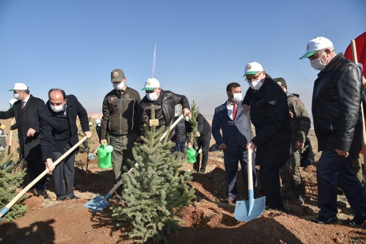 Konya’da Öğretmen Hatıra Ormanı için fidan dikimi yapıldı