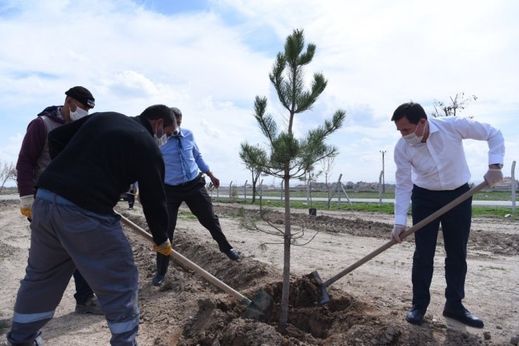 Karatay Belediyesi’nin “Yeşil Seferberliği” 2021 yılında da sürecek