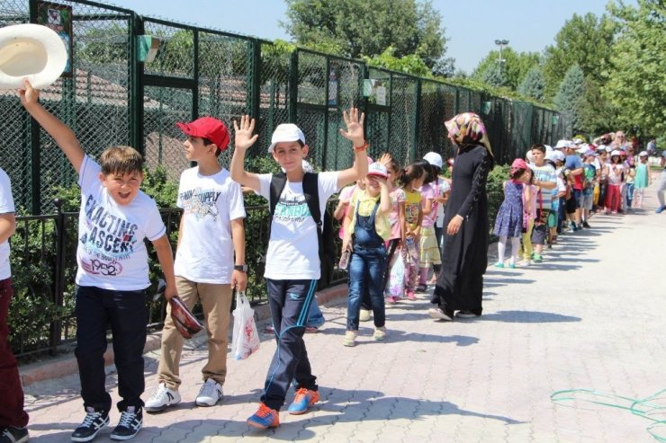 Karatay Belediyesi 2020’de 134 hayvanı sağlığına kavuşturdu