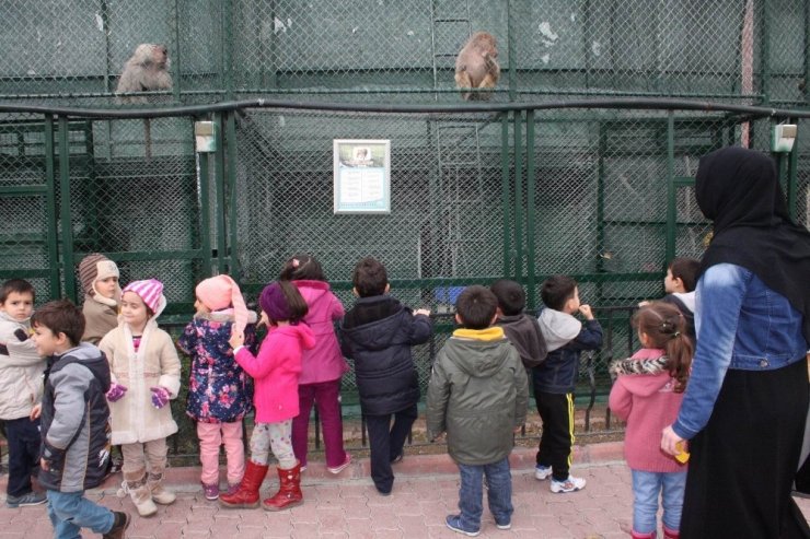 Karatay Belediyesi 2020’de 134 hayvanı sağlığına kavuşturdu