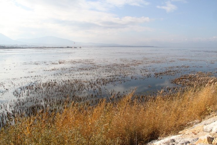 Beyşehir Gölünde su seviyesi azalıyor