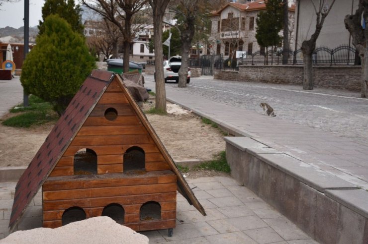 Selçuklu’da sokak hayvanları unutulmuyor