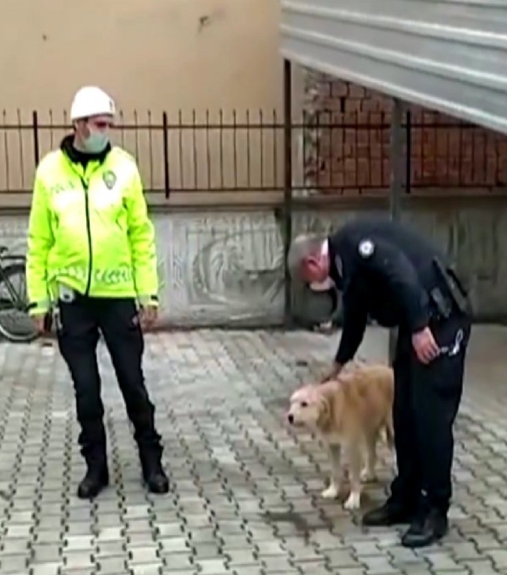 Köpeği döven şahıs polis tarafından yakalandı