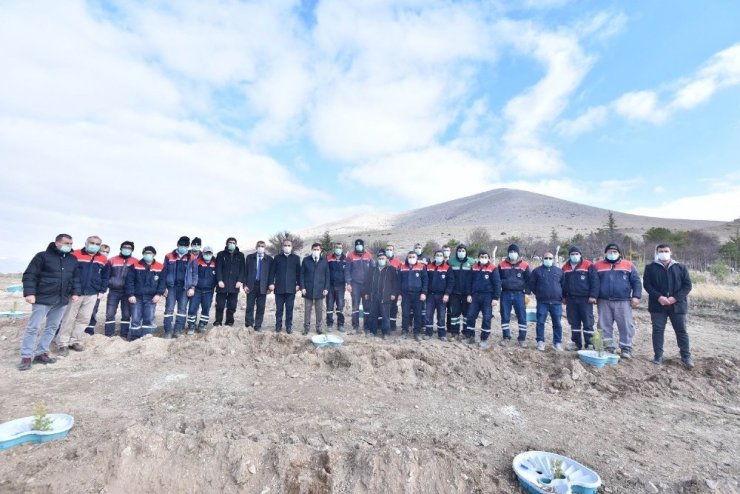 Konya’da ilk kez sulamasız fidan dikim çalışması yapıldı