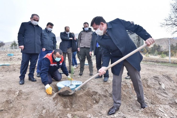 Konya’da ilk kez sulamasız fidan dikim çalışması yapıldı