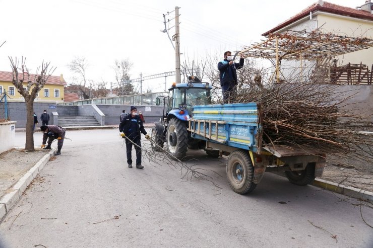 Karaman’da budanan ağaçlar gübre olarak kullanılıyor