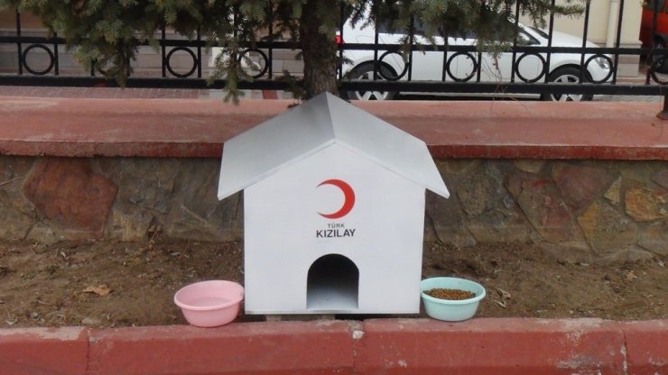 Kızılay, sokak hayvanlarına yuva yaptı