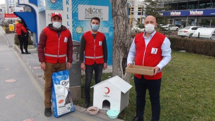 Kızılay, sokak hayvanlarına yuva yaptı
