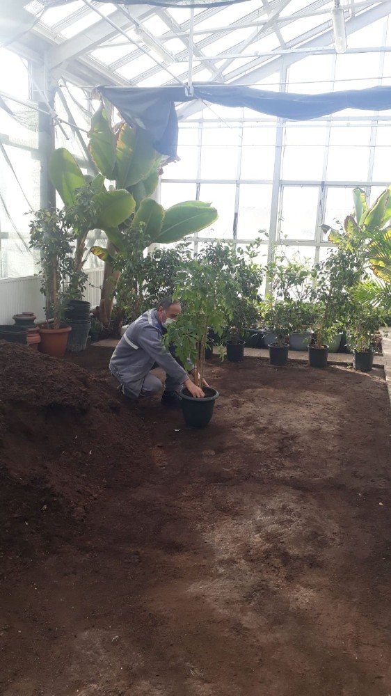 Dört mevsim güzelliğine doyulmayan Sincan Sera Park