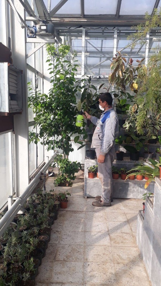 Dört mevsim güzelliğine doyulmayan Sincan Sera Park