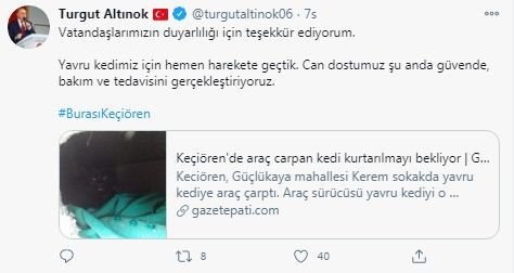 Yaralı kediye Keçiören Belediyesi sahip çıktı