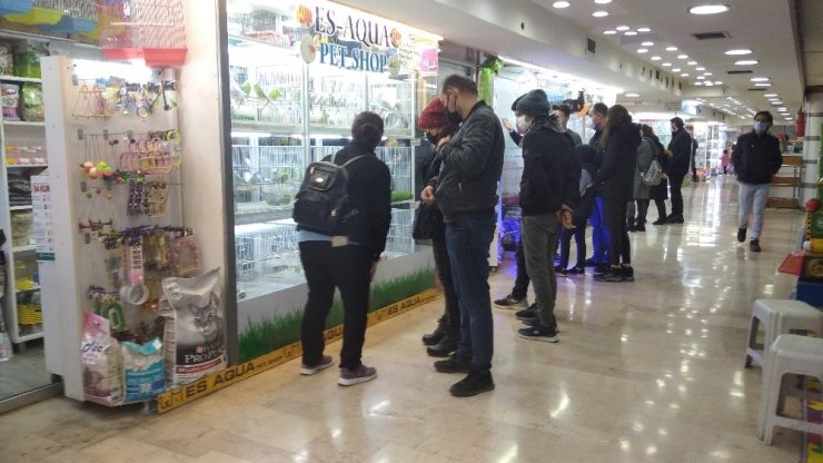 Pandemi döneminde evcil hayvanlara talep arttı