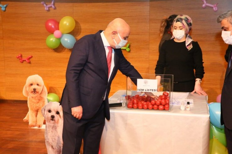 Başkent’te ses telleri kesilen köpekler sahiplendirildi