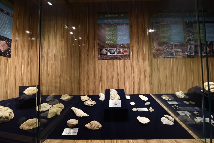 Konya Bilim Merkezi’nde “Fosil-Taş-Mineral” sergisi
