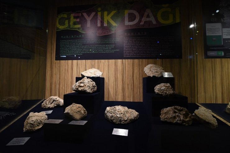 Konya Bilim Merkezi’nde “Fosil-Taş-Mineral” sergisi